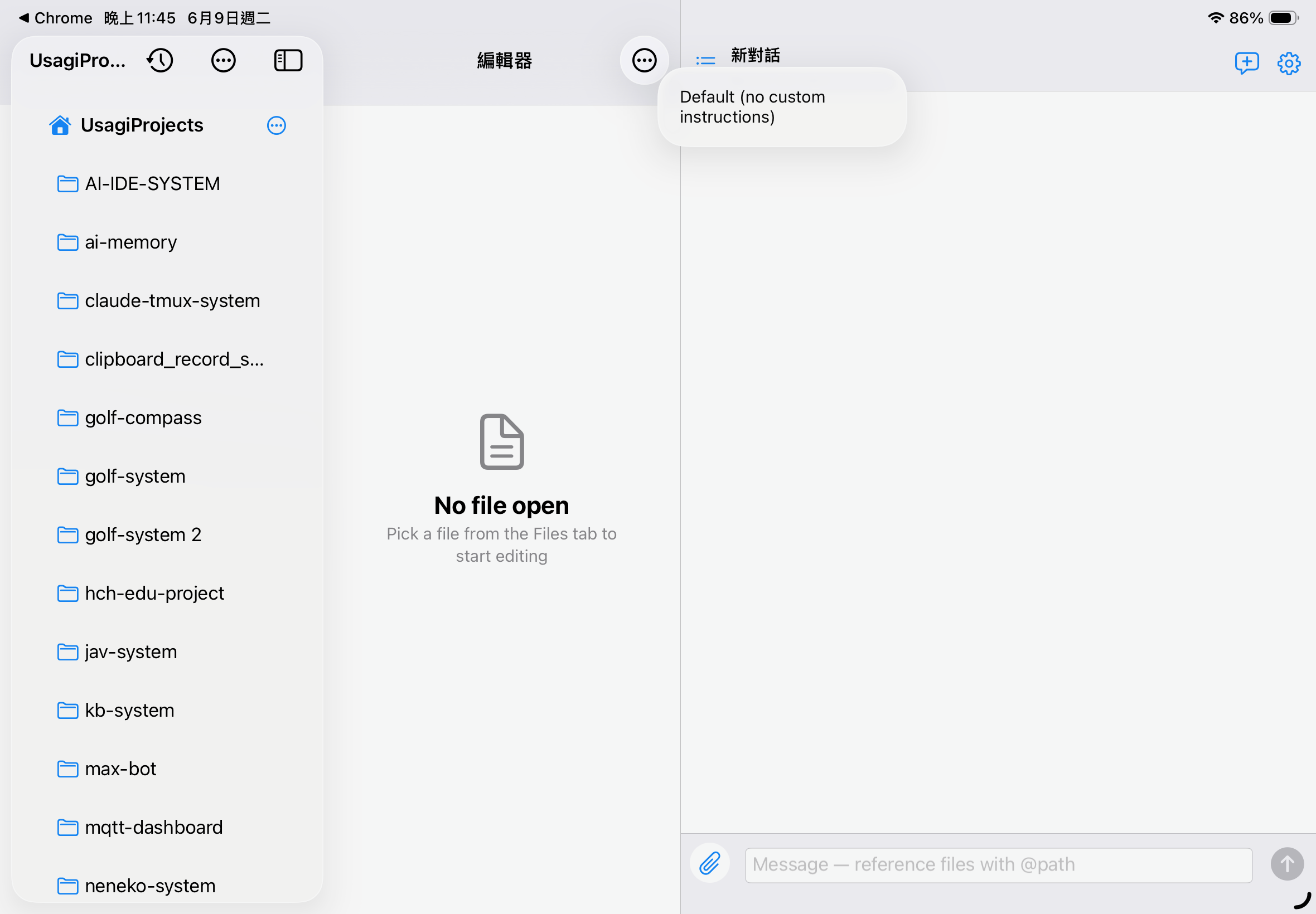 iPad 三欄